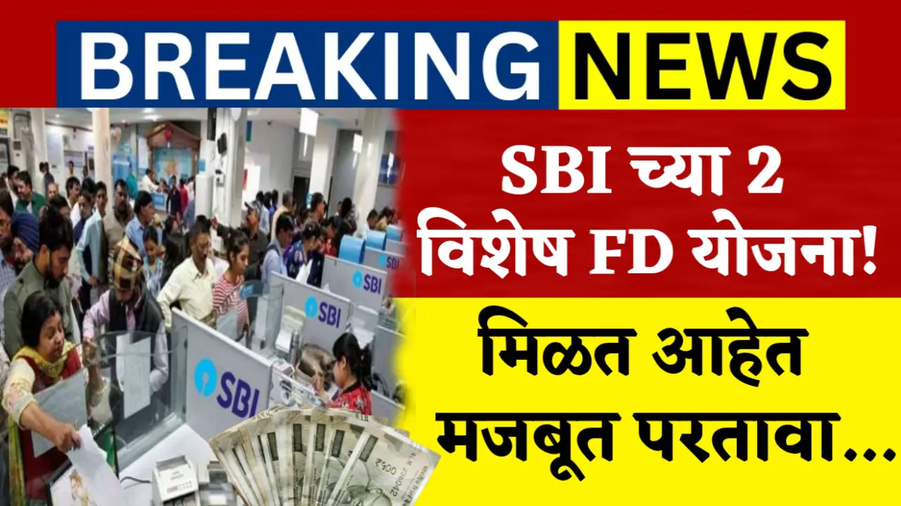 sbi 2 fixed deposit scheme